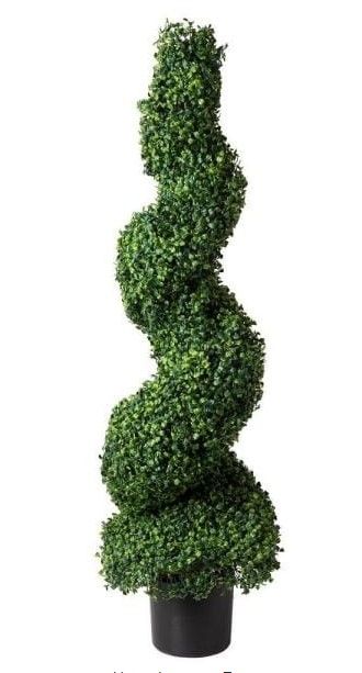 Photo 1 of . Boxwood Spiral Topiary Tree**2PC**