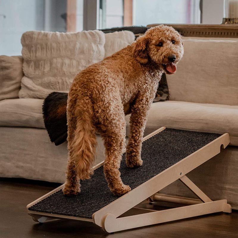 Photo 1 of Adjustable Pet Ramp for All Dogs and Cats - for Couch or Bed with Paw Traction Mat - 40" Long and Adjustable from 14” to 24” - Rated for 200LBS - Great for Small and Older Animals