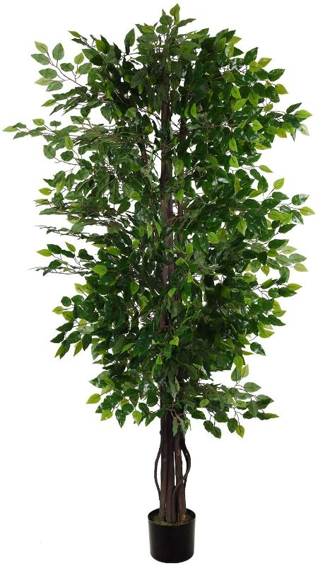 Photo 1 of 6.5 Feet Artificial Ficus Silk Tree with Green Leaves and Natural Trunk, Faux Silk Tree for Living Room Balcony Corner Decoration ( Pot not Included )