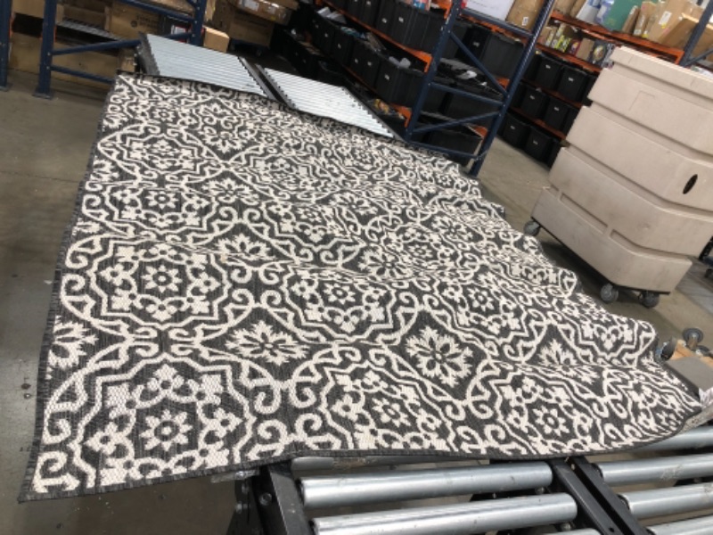 Photo 1 of 5 x 8 outdoor rug , black and white 
