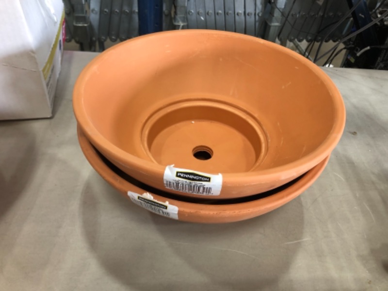 Photo 2 of 12 in. Terra Cotta Clay Dish Garden Planter 2-pack