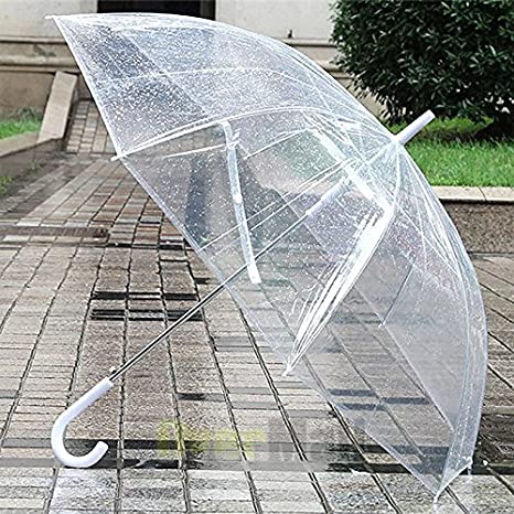 Photo 1 of 2 Large Transparent Clear Dome See Through Umbrella with White Handle
