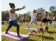 Photo 1 of 70 inch kangaroo brand yoga mat