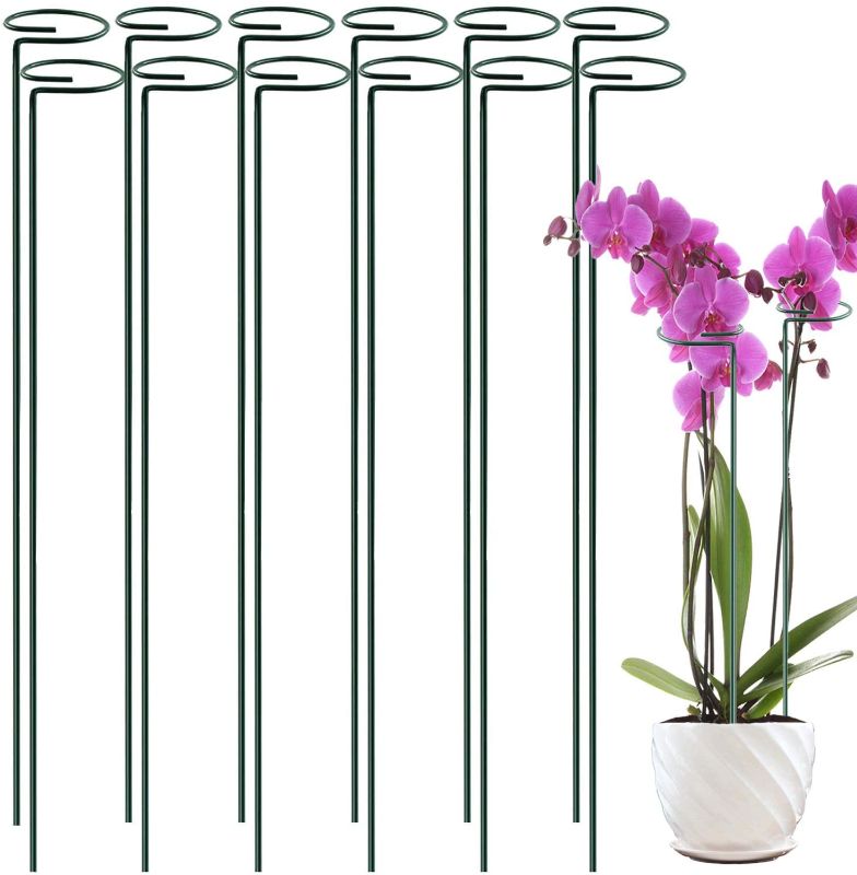 Photo 1 of 12 Pack 36 inch Plant Support Stakes ,Single Stem Plant Support Stake Single Plant Stem Garden Flower Support Stake Steel Plant Cage Support Ring for Orchid Gladiolus Iris Dahlia Amaryllis Rose Lily
SOME MISSING
