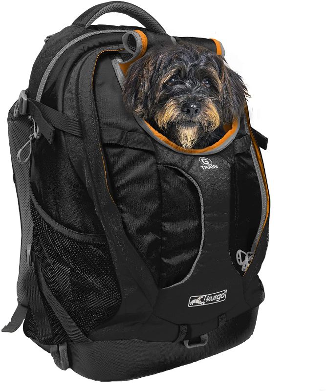 Photo 1 of Kurgo Dog Carrier Backpack for Small Pets - Dogs & Cats TSA Airline Approved Cat Hiking or Travel Waterproof Bottom G-Train K9 Ruck Sack Red Black

