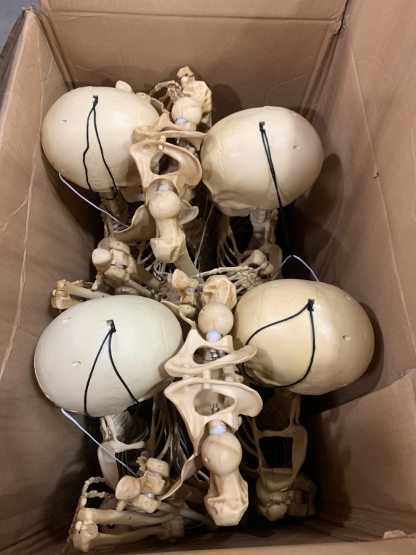 Photo 4 of 5 ft. Posable Skeleton with LED Illumination (Set of 6)
