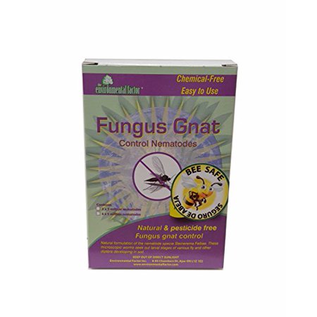 Photo 1 of ***EXP 7/24/22*** Nema Globe 4003224 Fungus Gnat Nematodes, 20 Million