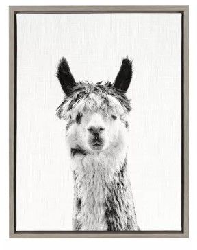 Photo 1 of 18" x 24" Sylvie Llama Framed Canvas by Simon Te Tai Gray - Kate and Laurel
