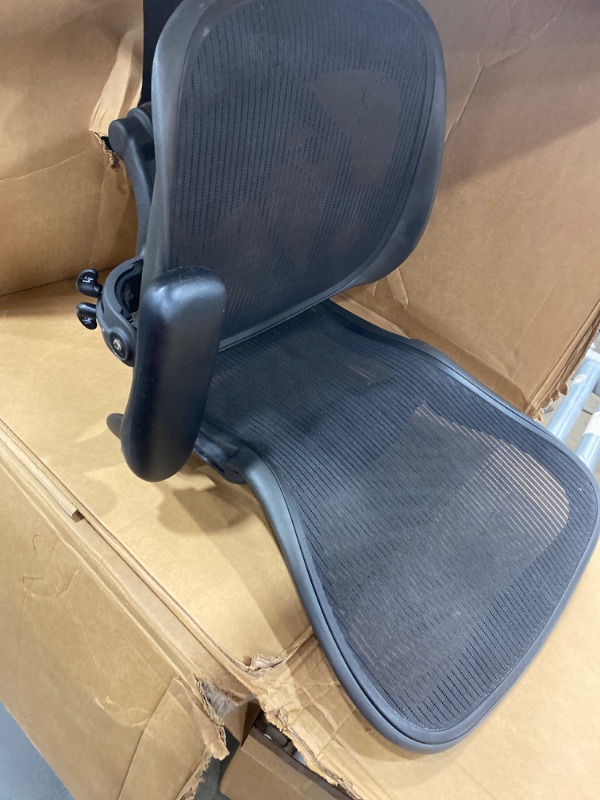Photo 1 of Herman Miller Classic Aeron Chair - Fully Adjustable, Carpet Casters, Size  B