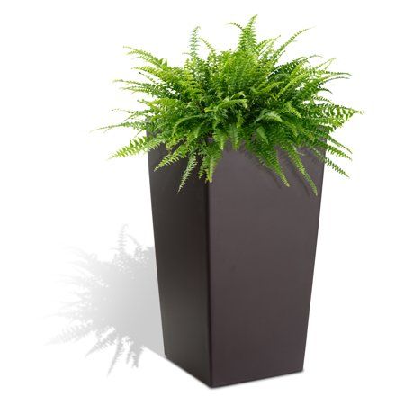 Photo 1 of Algreen Modena 22-in. Square Taper Planter, Self-Watering, Matte Mocha