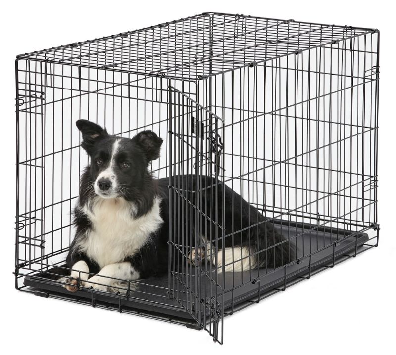 Photo 1 of *READ BELOW** MidWest ICrate Fold & Carry Single Door Collapsible Wire Dog Crate, 36 Inch
