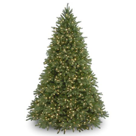 Photo 1 of  National Tree 6.5' Feel Real Jersey Fraser Fir Tree with 800 Clear Lights Other Holiday Lane 