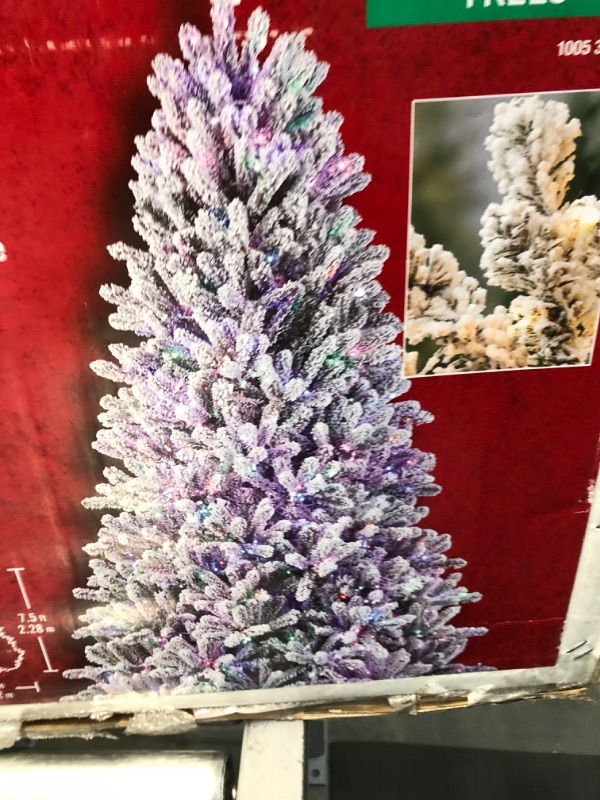 Photo 4 of **TREE LIGHTS DO NOT WORK**
Home Accents Holiday 7.5 Ft Starry Light Fraser Fir Flocked LED Pre-Lit Artificial Christmas Tree with 1500 Color Changing Lights
