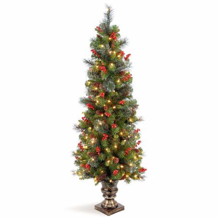 Photo 1 of 5' Pre-lit Potted Crestwood Spruce Medium Artificial Christmas Tree – Clear Lights