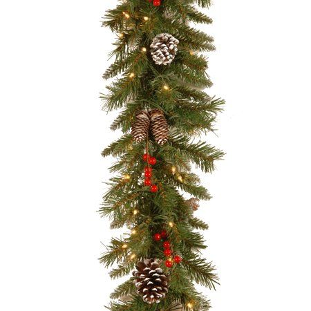 Photo 1 of National Tree Company 9 Ft. Frosted Berry Garland with Clear Lights