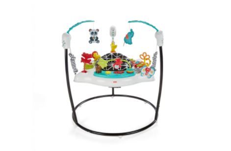 Photo 1 of Fisher-Price Animal Wonders Jumperoo