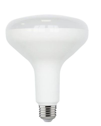 Photo 1 of 75-Watt Equivalent BR40 Dimmable ENERGY STAR LED Light Bulb Daylight 5000K (4-Pack)
