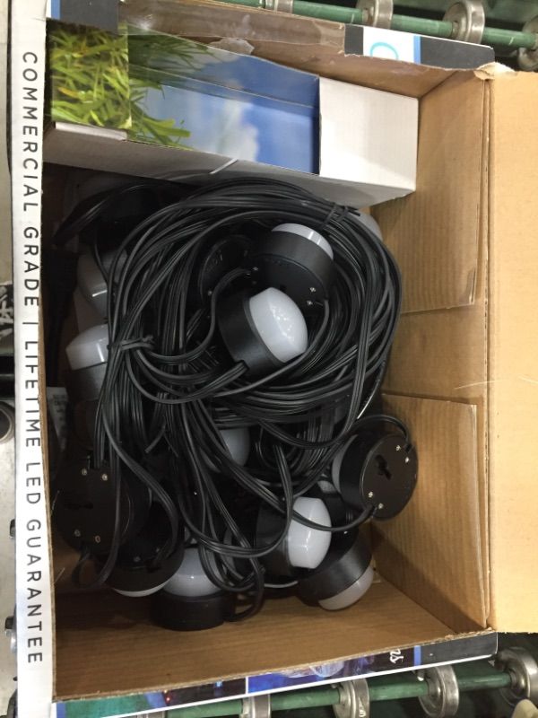 Photo 1 of 41369 Enbrighten Seasons Mini Color-Changing LED Landscape Lights
