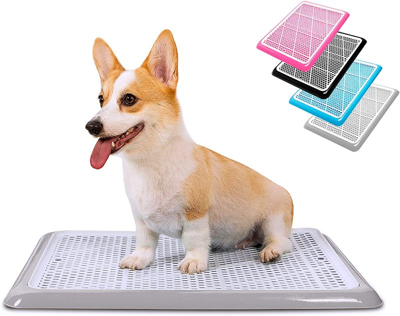 Photo 1 of Pet Awesome Dog Potty Tray / Puppy Pee Pad Holder 25”x20” Indoor Wee Training for Small and Medium Dogs
