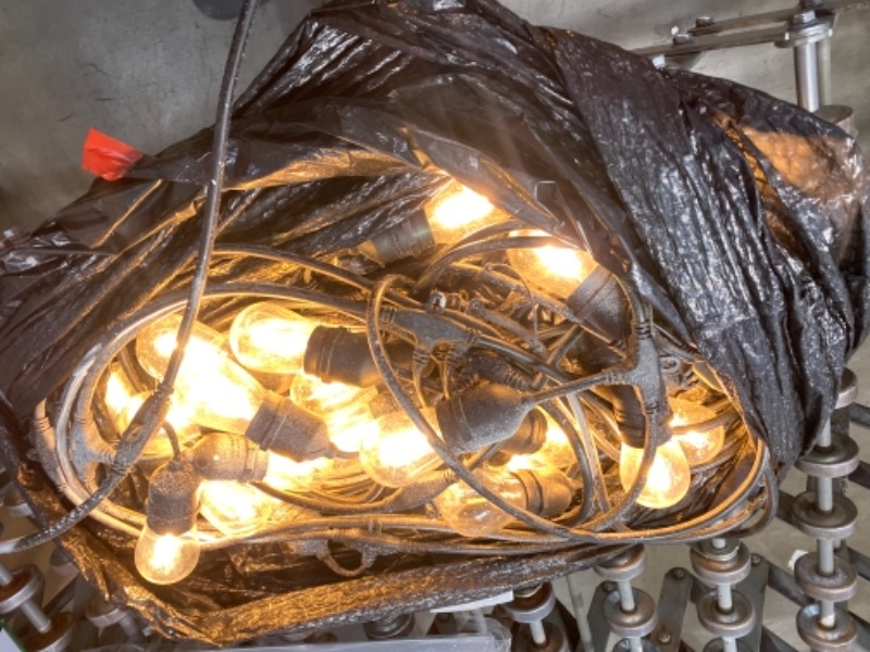 Photo 1 of 24-Light Indoor/Outdoor 48 ft. String Light with S14 Single Filament LED Bulbs
