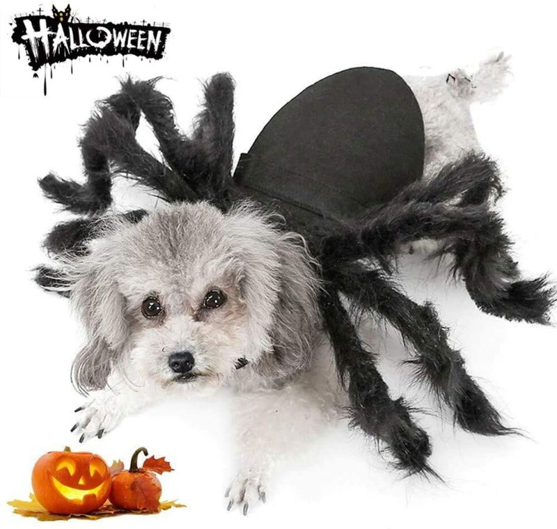 Photo 1 of Dog Cat Spider Costume for Halloween Party Decoration, Halloween Cosplay Costumes for Small Dogs and Cat, Puppy Cat Dress Up Accessories
