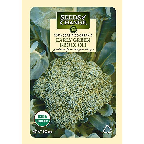 Photo 1 of **NONREFUNDABLE**BEST BY:12/22**
Seeds Of Change
SOC Broccoli Early Green
10PACK