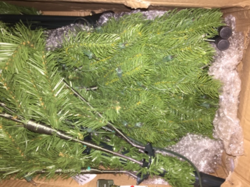 Photo 2 of *Needs fuse replacement*
National Tree Company Clear Prelit Incandescent Green Fir Christmas Tree, 6.5'
