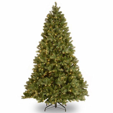 Photo 1 of *Needs fuse replacement*
National Tree Company Clear Prelit Incandescent Green Fir Christmas Tree, 6.5'
