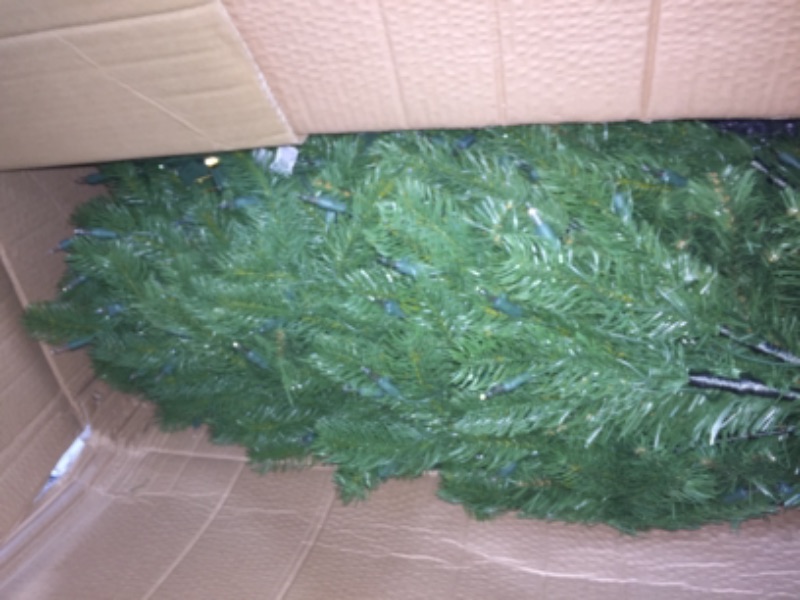 Photo 3 of *Needs fuse replacement*
National Tree Company Clear Prelit Incandescent Green Fir Christmas Tree, 6.5'
