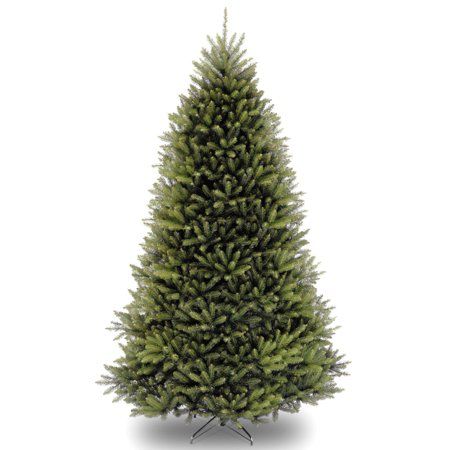 Photo 1 of 10 Ft. Dunhill® Fir Tree
