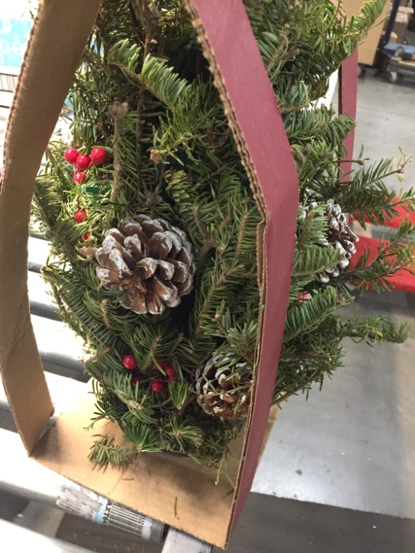 Photo 3 of 18-in Fresh Christmas Greenery Bouquet with Pinecones with Bow
