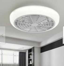 Photo 1 of Acrylic Ceiling Fan LED Lamp Flush Mount Ceiling Light With Remote Control
