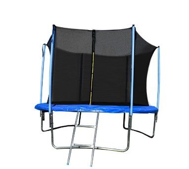 Photo 1 of ALEKO TRP12 12 Foot Trampoline With Safety Net and Ladder, Black and Blue
