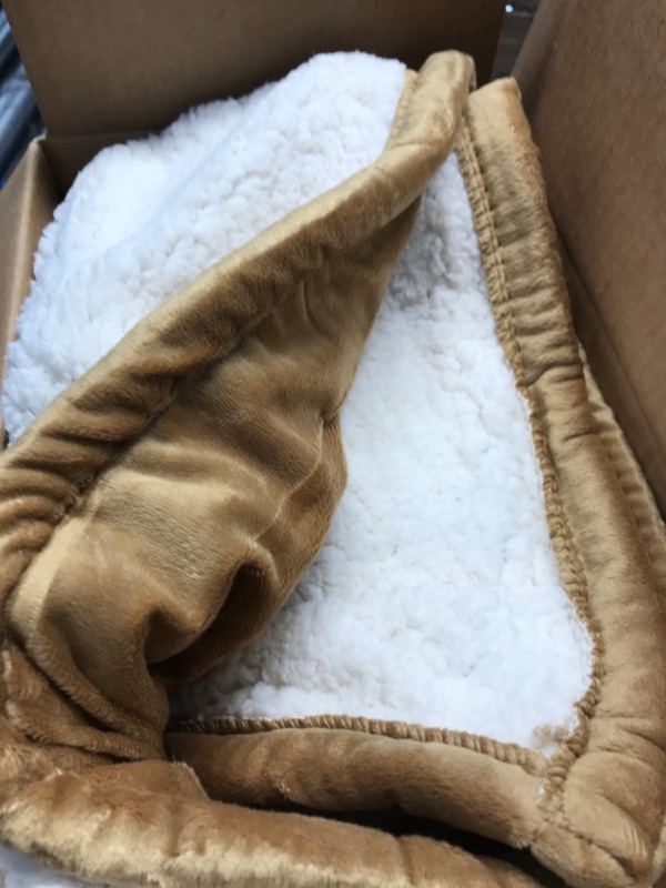 Photo 1 of Sunbeam Heated Throw Blanket | Reversible Sherpa/Royal Mink, 3 Heat Settings, Honey
60"L x 50"W
