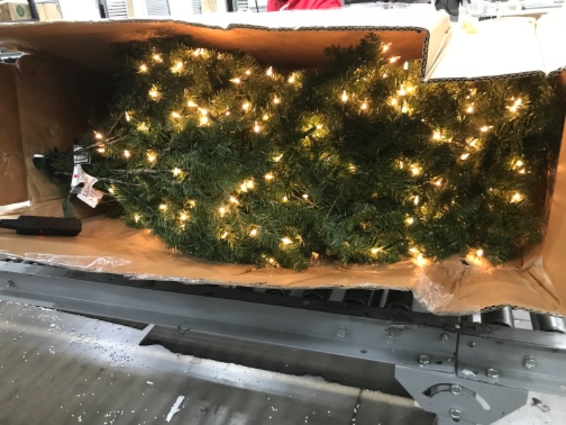 Photo 2 of National Tree Company Pre-Lit Artificial Full Christmas Tree, Green, Dunhill Fir, White Lights, Includes Stand, 7 Feet

//TESTED, POWERS ON