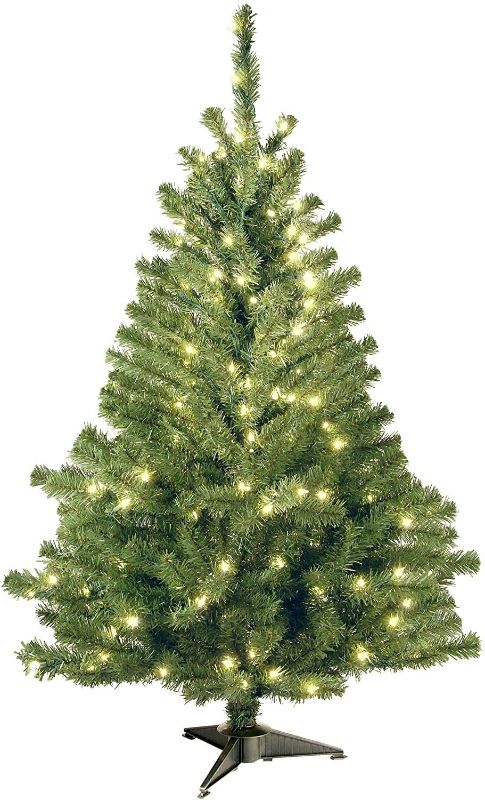 Photo 1 of National Tree Company Pre-Lit Artificial Mini Christmas Tree, Green, Kincaid Spruce, White Lights, Includes Stand, 4 Feet
//POWERS ON!
