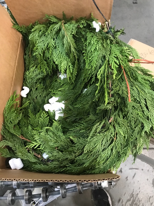 Photo 2 of 15 ft. Fresh Cut Mixed Garland with Fragrant Red Cedar, Noble Fir, and Douglas Fir