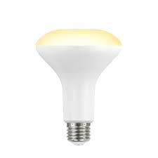 Photo 1 of 90-Watt Equivalent BR30 Dimmable ENERGY STAR LED Light Bulb in Bright White (4 2-Pack)
