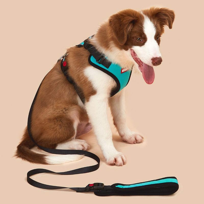 Photo 1 of **set of 3**
MUDINPET Dog Harness Vest with 4ft Leash, Extra Small Dog Harness, Puppy Training No Pull Vest, Reflective Safety Comfort for Walk 4ft Lead
