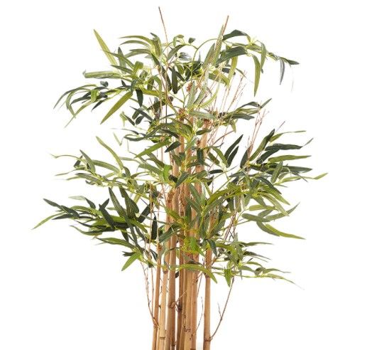 Photo 1 of (BROKEN OFF BASE LEG)
Nearly Natural 5420 Twiggy Bamboo Tree, 3.5-Feet, Green,50.5" x 7" x 7"
