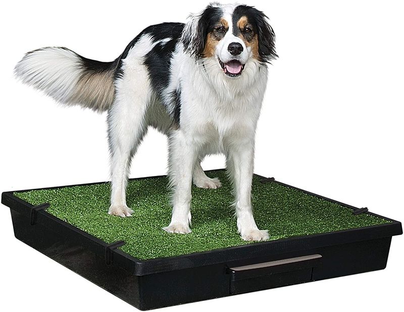 Photo 1 of PetSafe Pet Loo Portable Outdoor or Indoor Dog Potty - Dog Grass Pad with Tray - Alternative to Puppy Pads - Easy to Clean Dog Potty Grass