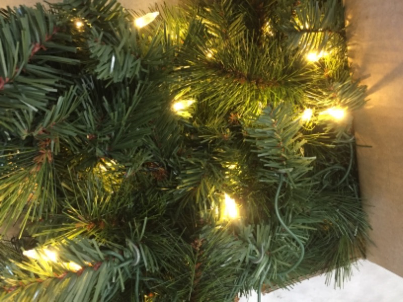 Photo 1 of Home Accents Holiday 9 Ft. Wesley Long Needle Pine Pre-Lit LED Artificial Christmas Garland with 60 Warm White Lights