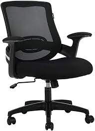 Photo 1 of *READ BELOW* Hbada Ergonomic Office Chair Computer Desk Chair Mid-Back Mesh Task Chair with Strong Shield Type Lumbar Support, Height
