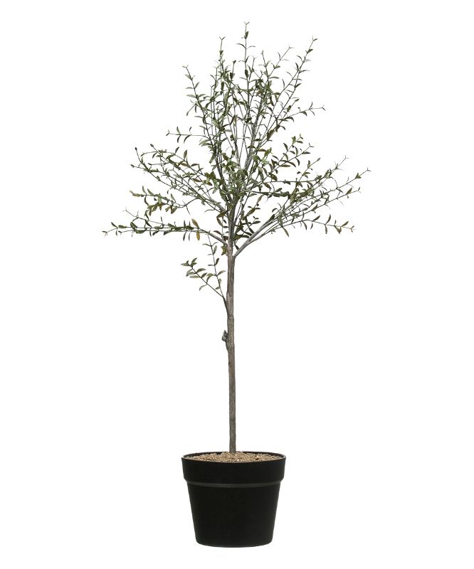 Photo 1 of *READ BELOW*29" X 11" Artificial Faux Thyme Topiary Plant in Terracotta Pot - 3R Studios