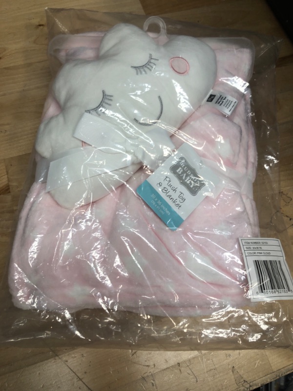 Photo 2 of Hudson Baby Plush Blanket and Toy, 2-Piece Set, Pink Cloud
