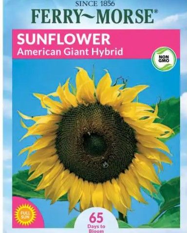 Photo 1 of 20 PACK, NO RETURNS NONREFUDBALE
Ferry-Morse
Sunflower Dwarf Sunspot Seed