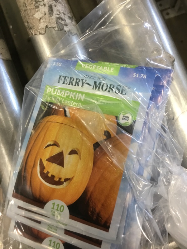 Photo 2 of 15 PACK, NO RETURNS NONREFUDABLE
Ferry-Morse Pumpkin Jack O' Lantern Seed
