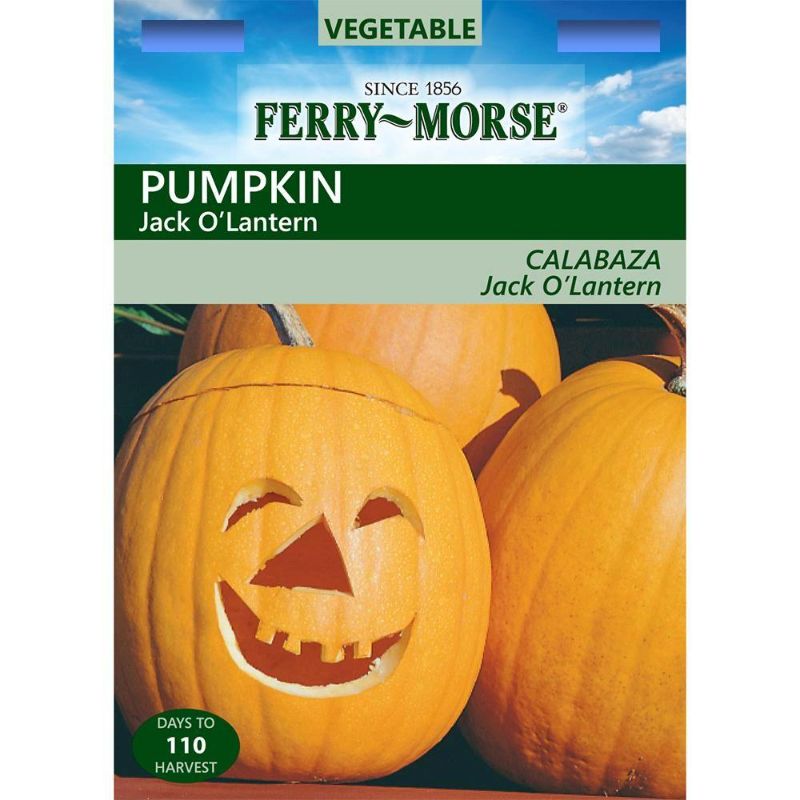 Photo 1 of 15 PACK, NO RETURNS NONREFUDABLE
Ferry-Morse Pumpkin Jack O' Lantern Seed
