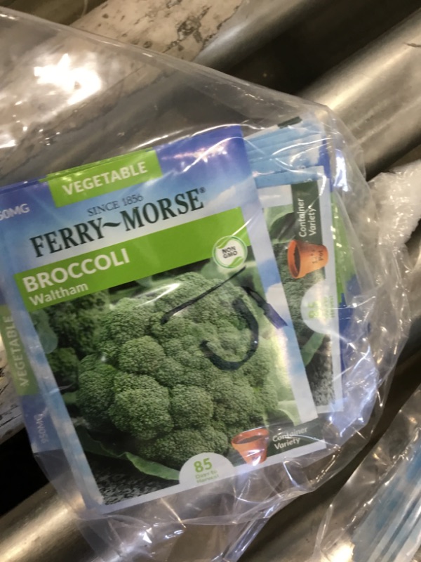 Photo 2 of 15 PACK, NO RETURNS NONREFUDABLE
Broccoli Gypsy Hybrid Vegetable Seeds NON-GMO - Ferry Morse 125mg 12/22
