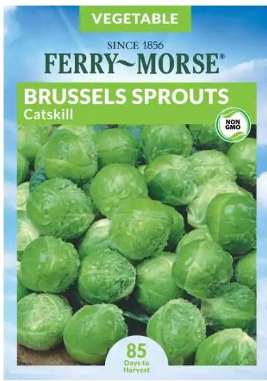 Photo 1 of 15 PACK, NO RETURNS NONREFUDABLE
Ferry-Morse
Brussels Sprouts Catskill Seed
